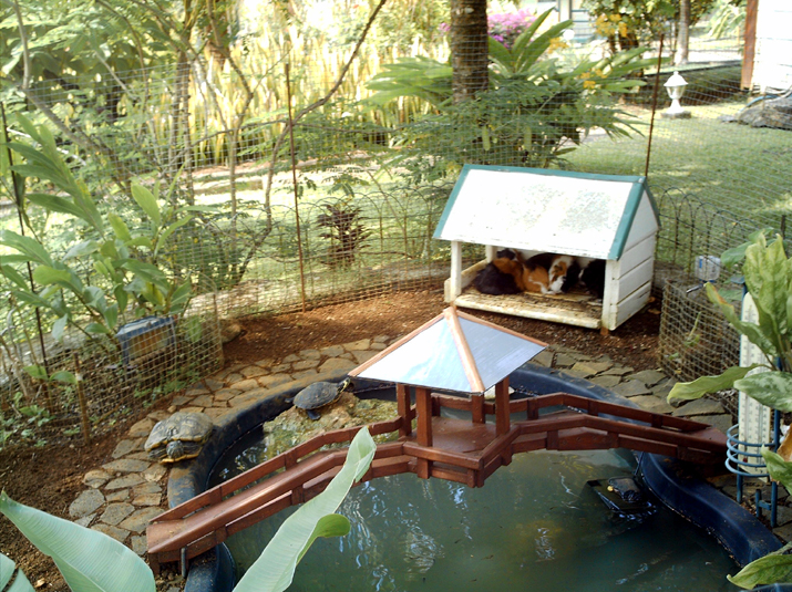 15 - Bungalow 007.jpg